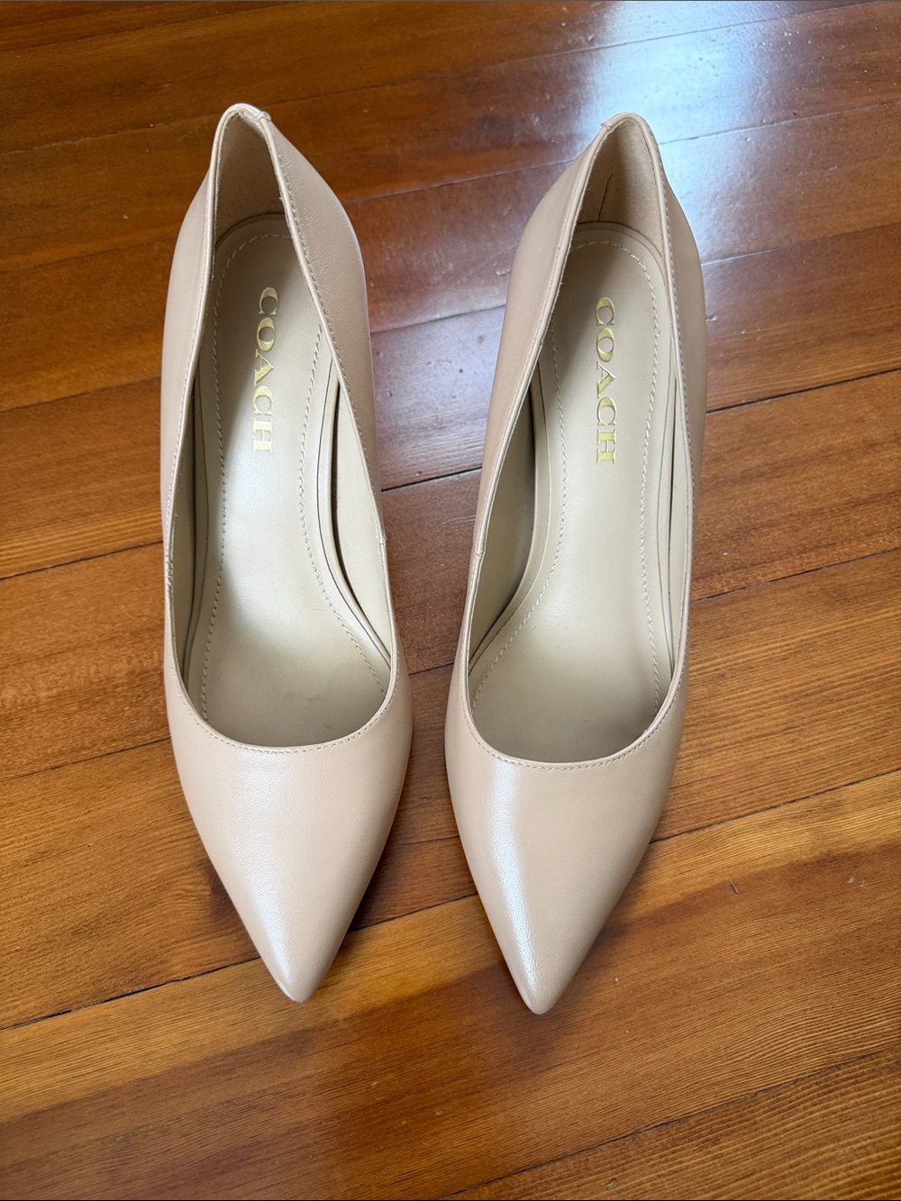COACH Blush Leather Pointed-Toe Pumps